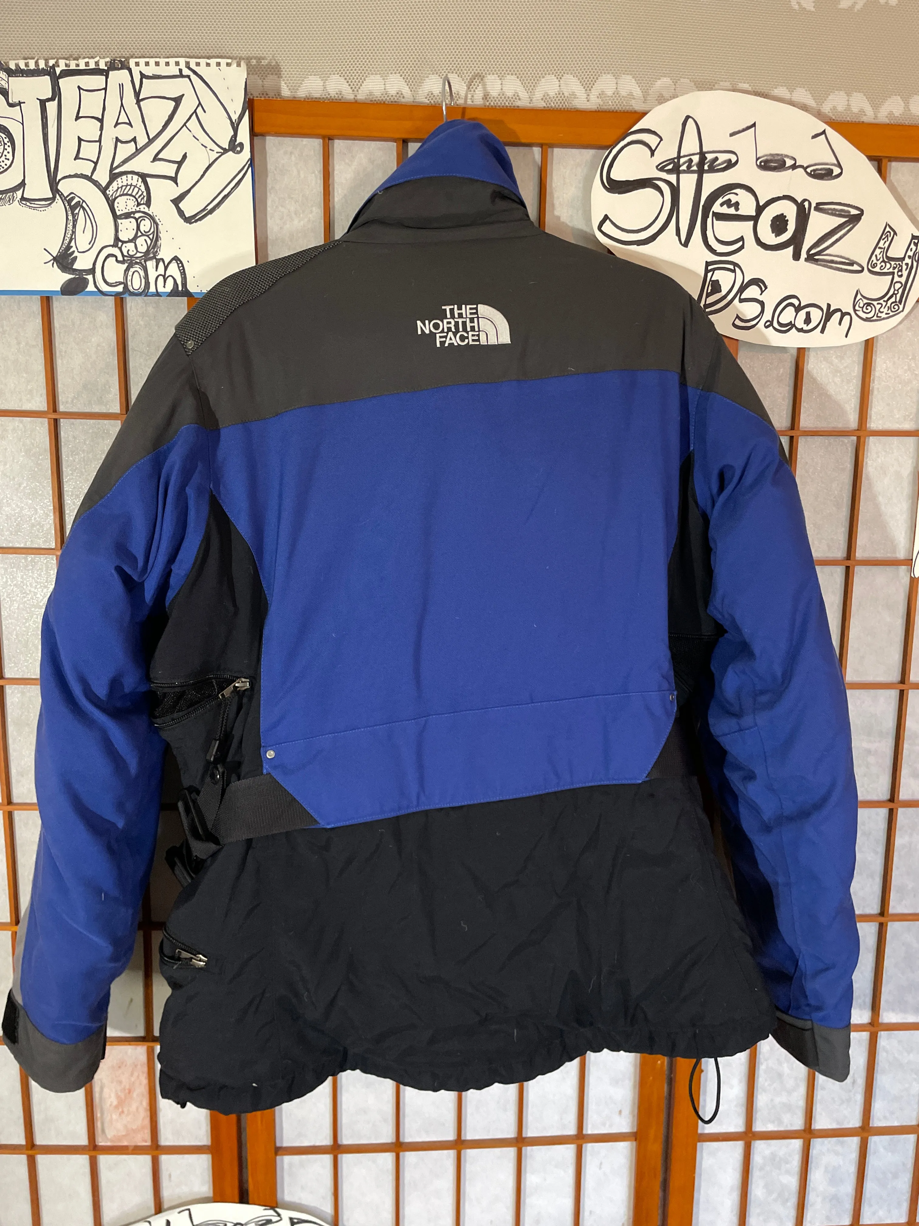 Blue Block North Face Steep 550 Down Tech