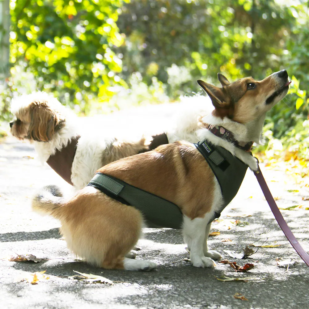 ECO BELLY BIB | chase green