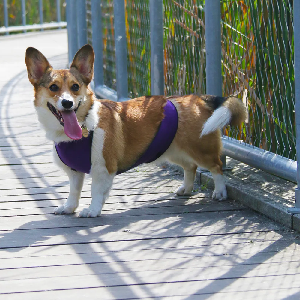 ECO BELLY BIB | lillian purple