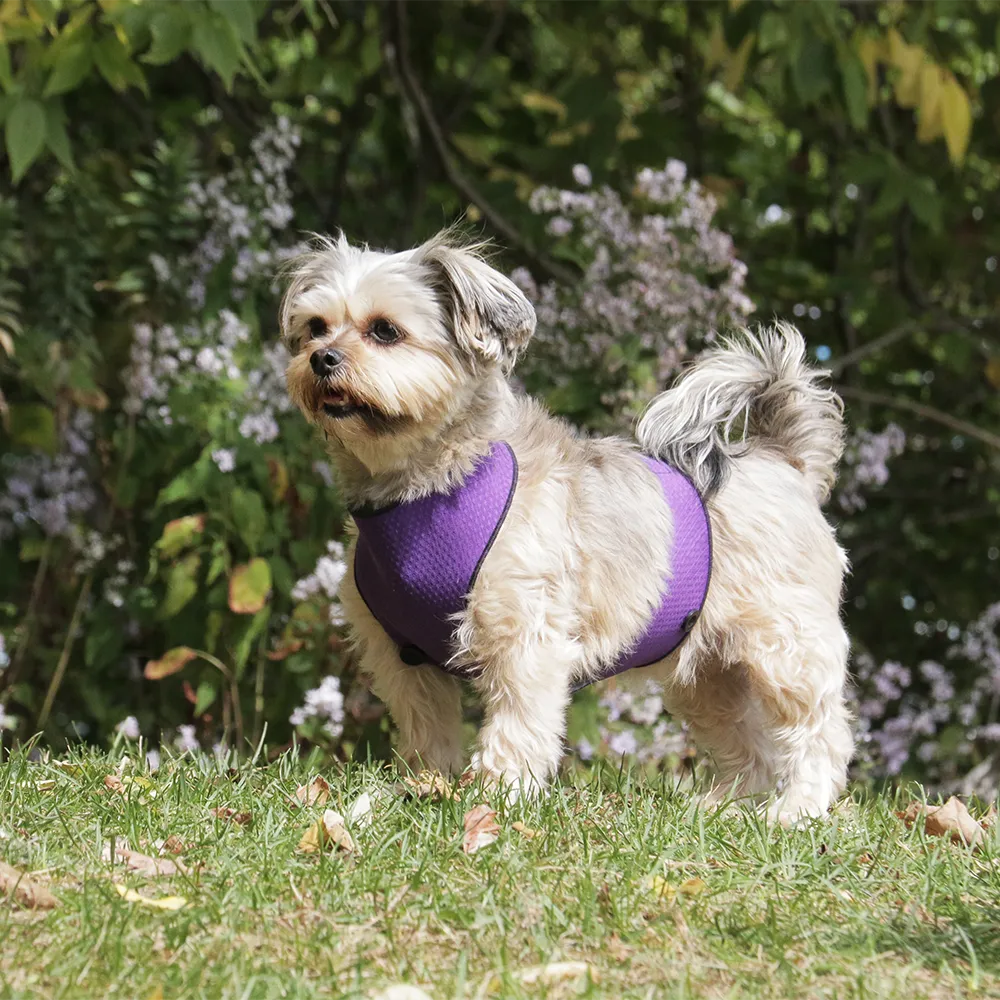 ECO BELLY BIB | lillian purple