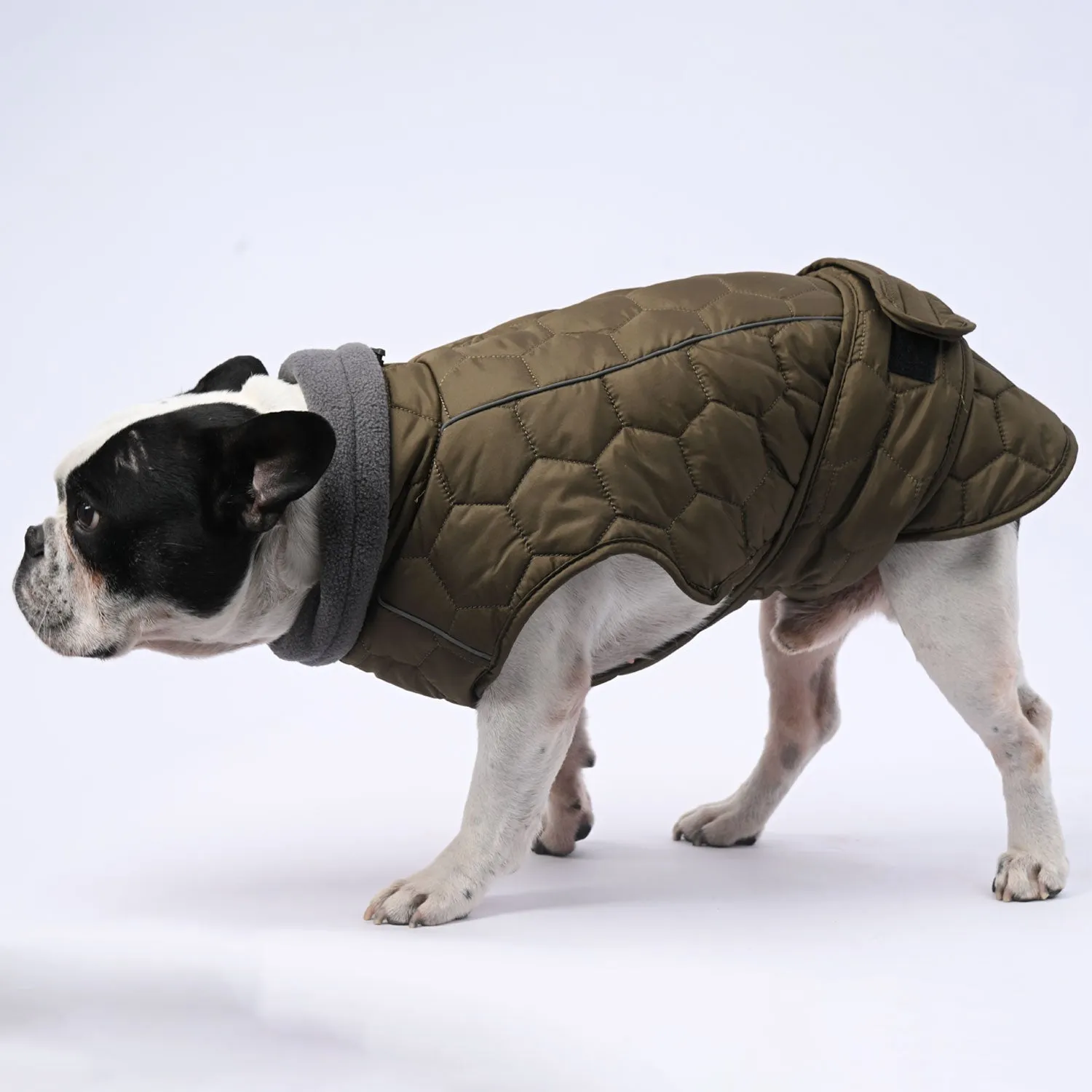 IceShield Frenchie Winter Snowsuit with Reflective Design